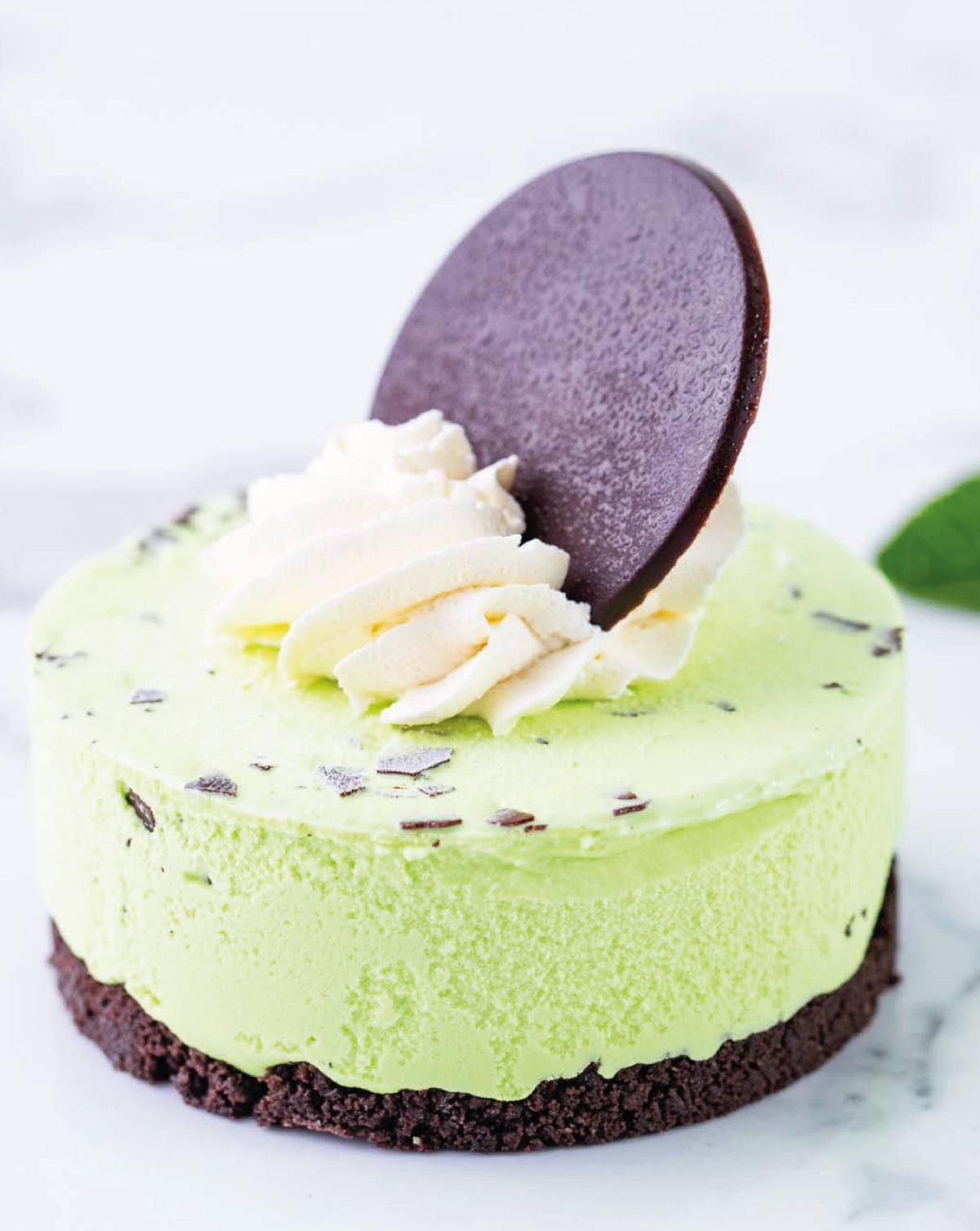 Velvet Mint Torte